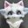 FurryFursuit